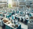 Co to jest laboratorium analizy gleby?